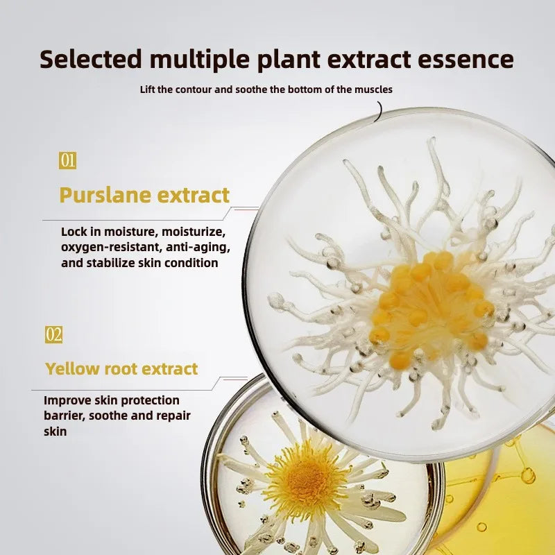 High end Anti- Wrinkle Face Skin care Serum  Fade Fine Lines Facial Moisturizing brightning Anti Aging Firming Skin Care Essence