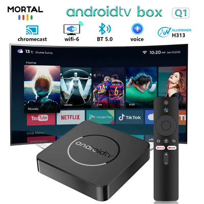 Mortal Global Version Android 14 4K HDR Smart TV Box 2GB/16GB 5G Dual Wifi BT5.2 Voice Assistant H313 Media Player Q1 ATV TV Box