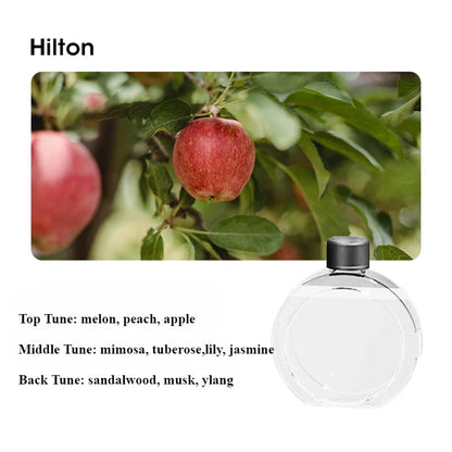 Home Desktop Diffuser Aromatherapy Machine USB Smart Air Purifier with Display for Car Bathroom Air Deodorization Shangri-la
