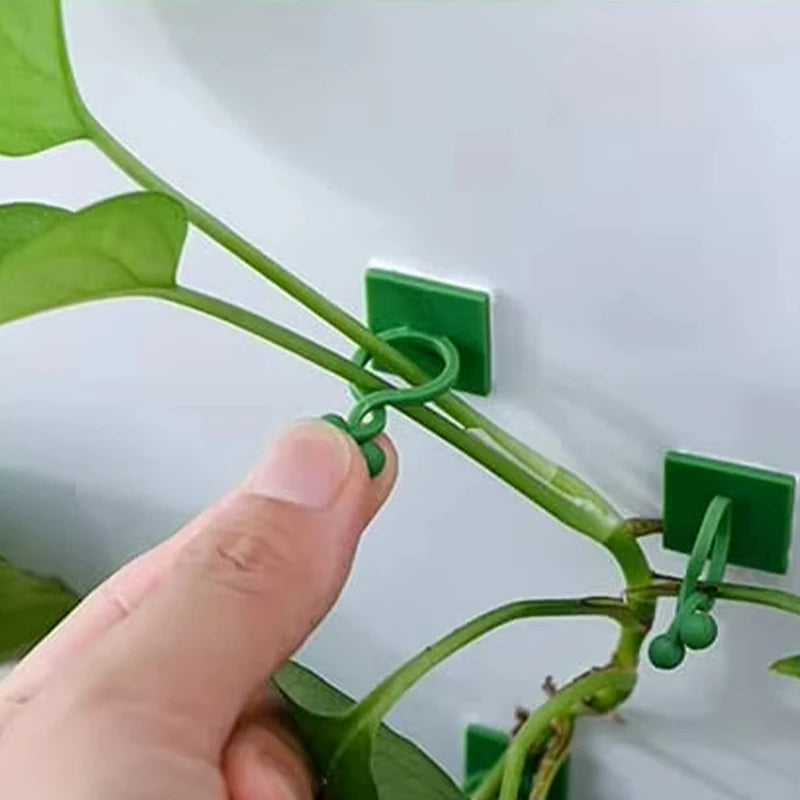 Plant Vine Traction Holder Invisible Plant Climbing Wall Fixture Clips Self-Adhesive Hook Indoor Outdoor Twisted or Fastened
