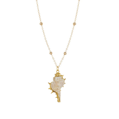 Bohemia Conch Shells Necklace Sea Beach Shell Pendant Necklace for Women Female Shell Cowrie Summer Party Gifts Jewelry choker