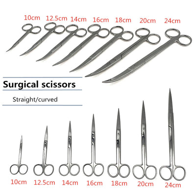 Upgraded Medical Surgical Scissors Steel Small Nail Tools Eyebrow Nose Hair Cut Manicure Makeup Professional Beauty Accessories