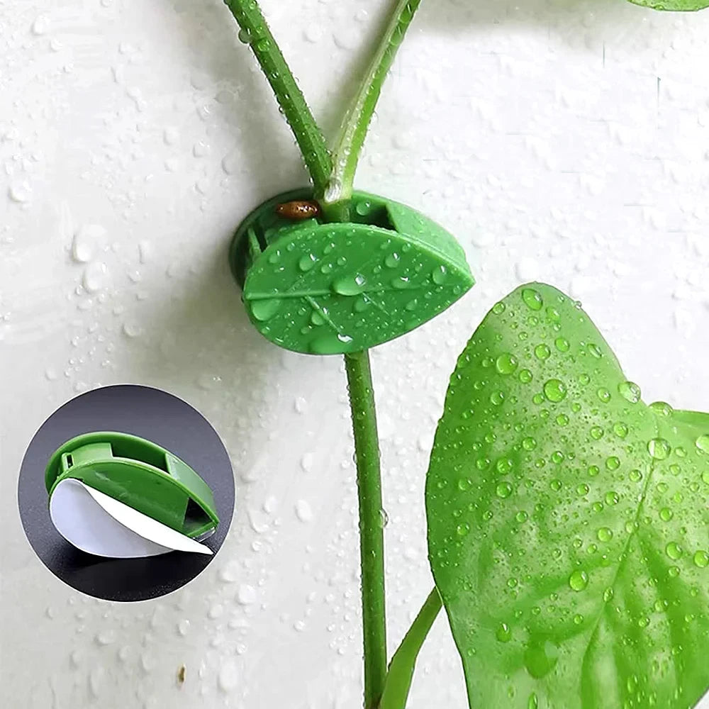 Plant Vine Traction Holder Invisible Plant Climbing Wall Fixture Clips Self-Adhesive Hook Indoor Outdoor Twisted or Fastened