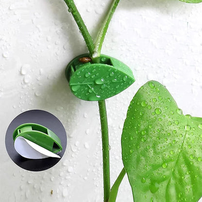 Plant Vine Traction Holder Invisible Plant Climbing Wall Fixture Clips Self-Adhesive Hook Indoor Outdoor Twisted or Fastened