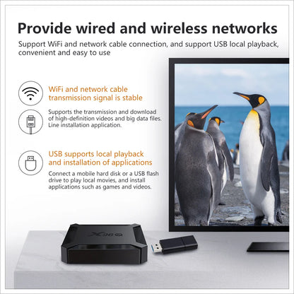 X96Q TV Box android 10 Quad Core H313 2GB 16GB 2.4GHz WiFi 4K Media Player Set top box