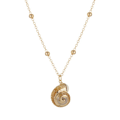 Bohemia Conch Shells Necklace Sea Beach Shell Pendant Necklace for Women Female Shell Cowrie Summer Party Gifts Jewelry choker