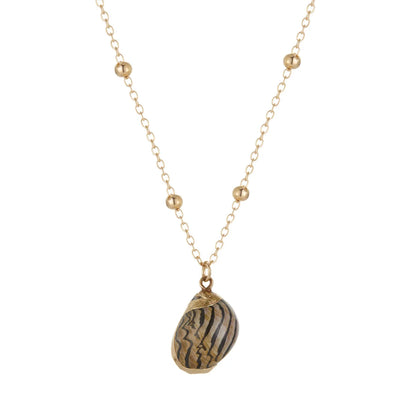 Bohemia Conch Shells Necklace Sea Beach Shell Pendant Necklace for Women Female Shell Cowrie Summer Party Gifts Jewelry choker