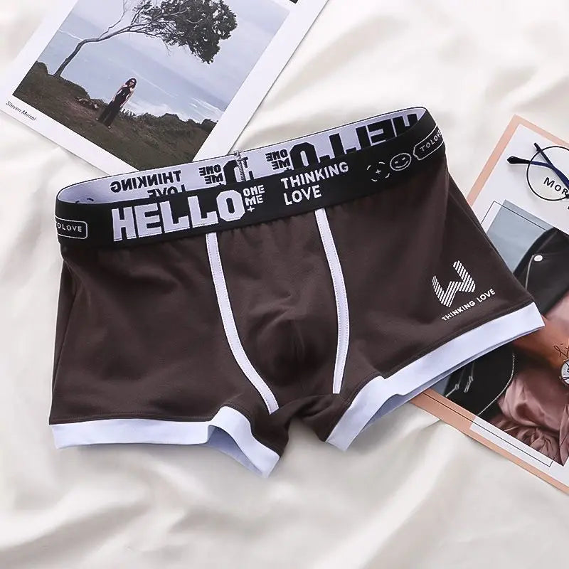 Men Panties Cotton BoxerShorts Man Underwear Mens Boxers Breathable U Convex Male Underpants Sexy Plus Size
