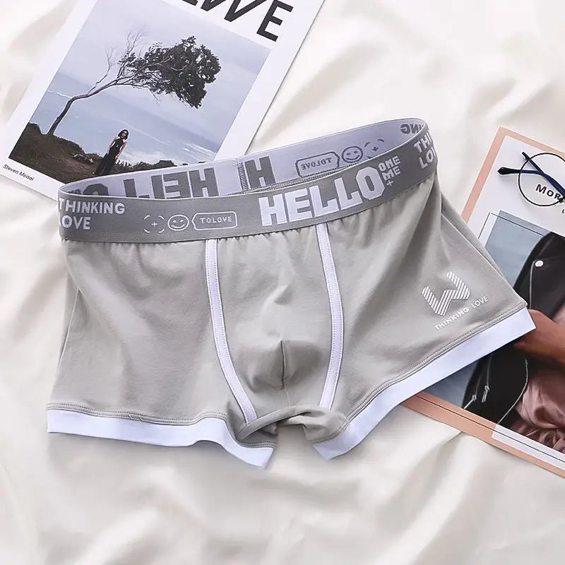 Men Panties Cotton BoxerShorts Man Underwear Mens Boxers Breathable U Convex Male Underpants Sexy Plus Size