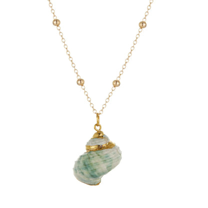 Bohemia Conch Shells Necklace Sea Beach Shell Pendant Necklace for Women Female Shell Cowrie Summer Party Gifts Jewelry choker